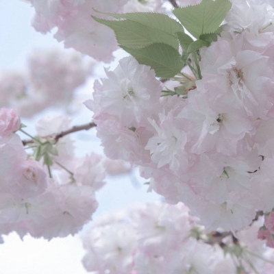 Furry原创作品设计思路兽圈社群