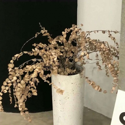 康平福瑞交流群